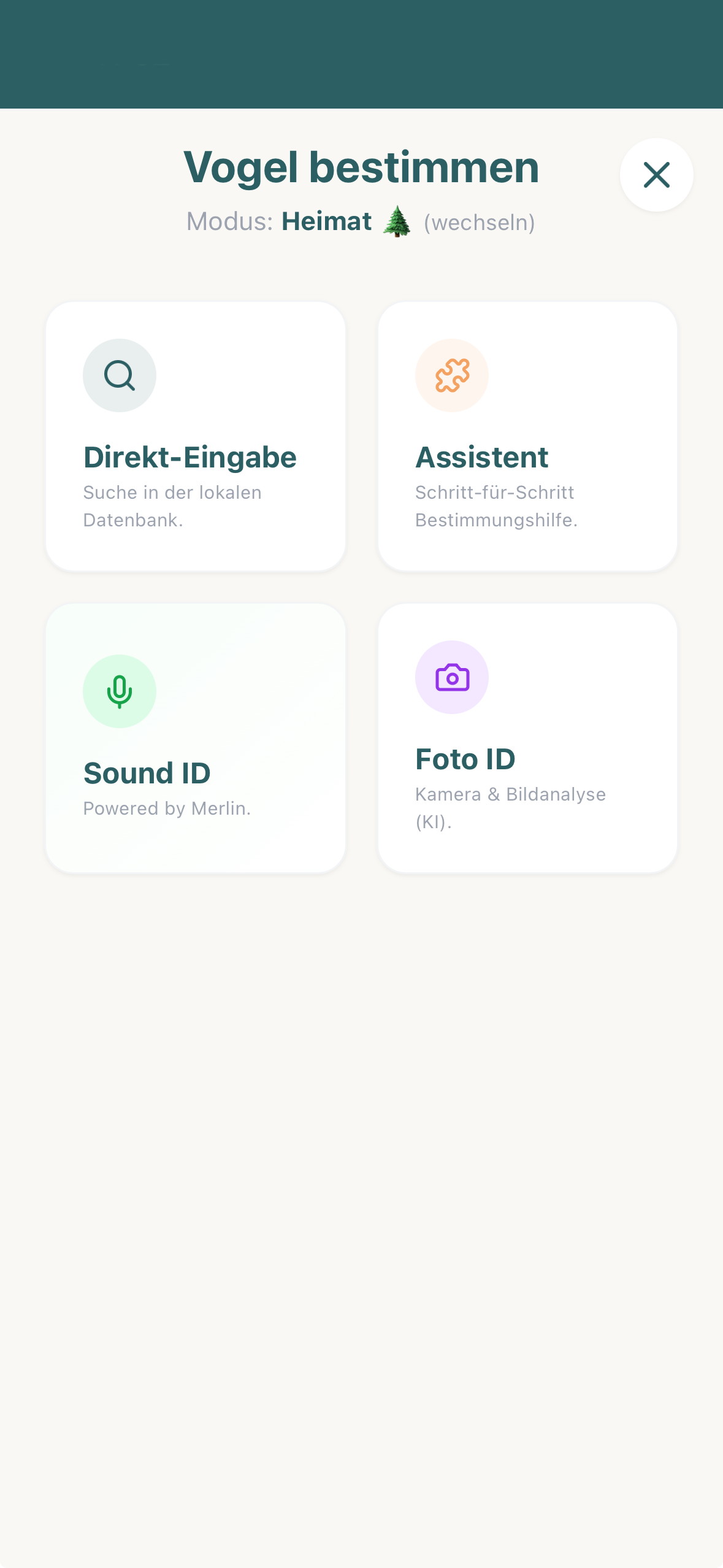 Vogel bestimmen in BirdNerd